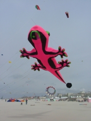 Berck Sur Mer - 2006-04-11