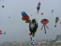 Berck2006-165