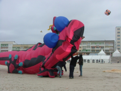 Berck2006-167