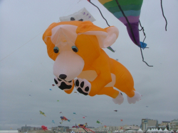 Berck2006-168