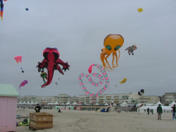 Berck2006-169