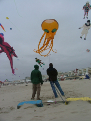 Berck2006-173