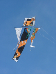 Berck2006-182