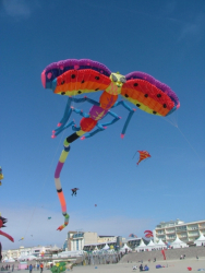 Berck2006-192