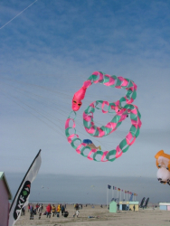 Berck2006-200