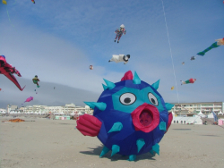 Berck2006-202