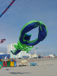 Berck2006-209