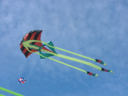 Berck2006-210