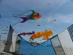Berck2006-221