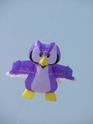 Berck2007-031