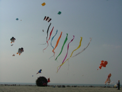 Berck2007-048