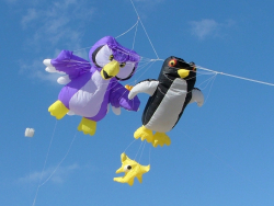 Berck2007-111