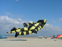 Berck2007-116