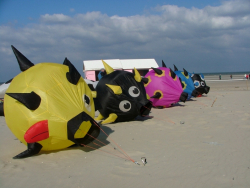 Berck2007-119