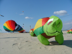 Berck2007-121
