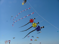 Berck2007-125