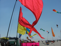 Berck2007-135