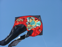 Berck2007-138
