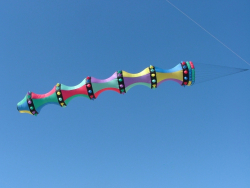 Berck2007-142