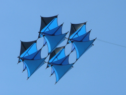 Berck2007-146