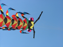 Berck2007-150