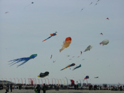 Berck2007-157