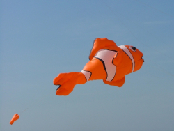Berck2007-163