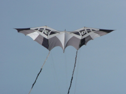 Berck2007-167