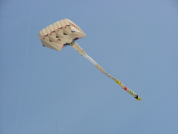 Berck2007-171