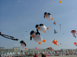 Berck2007-175