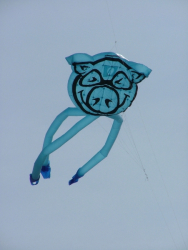 Berck2007-179