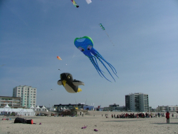 Berck2007-191