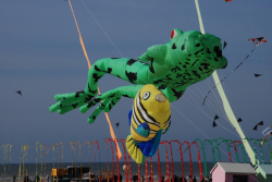 Berck2010-071