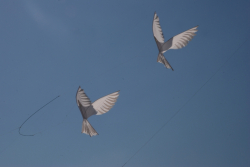 Berck2010-073