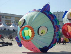 Berck2010-075