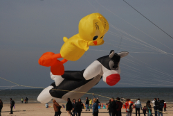 Berck2010-079