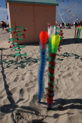 Berck2010-089