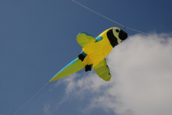 Berck2010-112