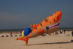 Berck2010-115