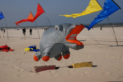 Berck2010-158