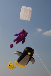 Berck2010-167