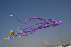 Berck2010-172