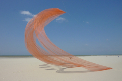 Berck Sur Mer - 2010-04-12