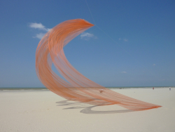 Berck2010-186