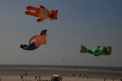 Berck2010-204