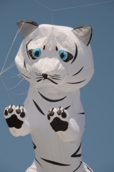 Driffield2011-009