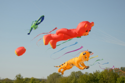 Driffield2011-041