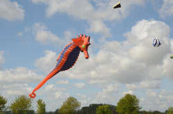 Driffield2011-053