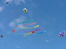GreatBarugh2006-022