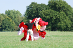 Harewood2007-007
